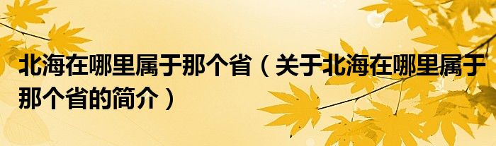 北海在哪里屬于那個(gè)?。P(guān)于北海在哪里屬于那個(gè)省的簡介）