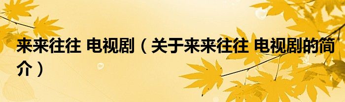 來來往往 電視?。P(guān)于來來往往 電視劇的簡介）