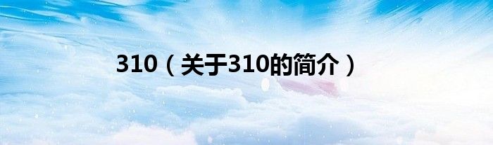 310（關于310的簡介）