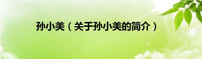 孫小美（關(guān)于孫小美的簡(jiǎn)介）