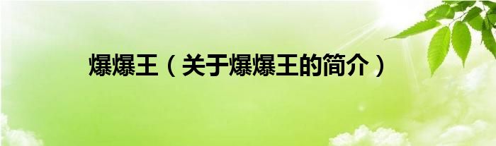 爆爆王（關(guān)于爆爆王的簡介）