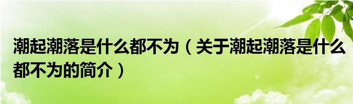 潮起潮落是什么都不為（關于潮起潮落是什么都不為的簡介）