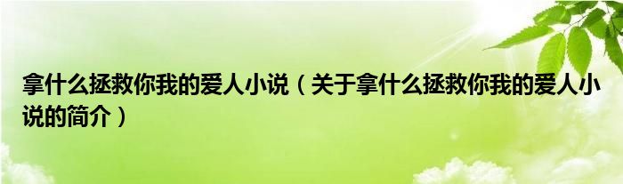 拿什么拯救你我的愛人小說（關于拿什么拯救你我的愛人小說的簡介）