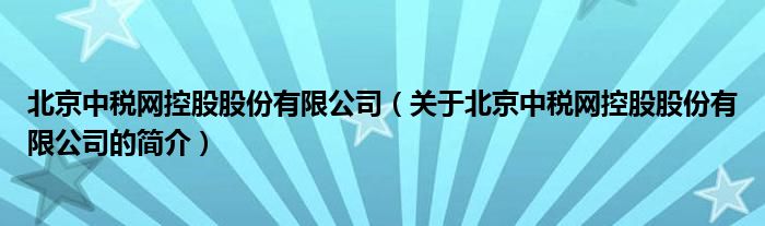 北京中稅網(wǎng)控股股份有限公司（關(guān)于北京中稅網(wǎng)控股股份有限公司的簡介）