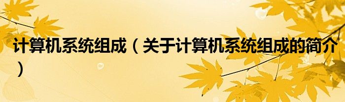 計(jì)算機(jī)系統(tǒng)組成（關(guān)于計(jì)算機(jī)系統(tǒng)組成的簡(jiǎn)介）