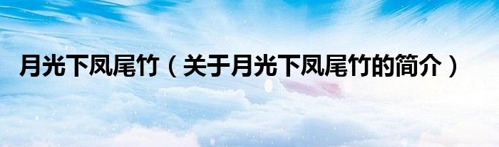 月光下鳳尾竹（關(guān)于月光下鳳尾竹的簡(jiǎn)介）