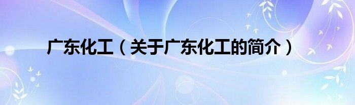 廣東化工（關于廣東化工的簡介）