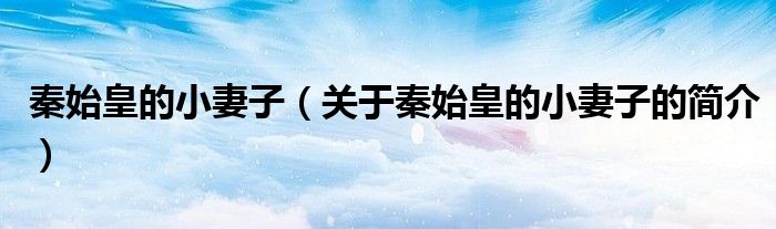 秦始皇的小妻子（關于秦始皇的小妻子的簡介）