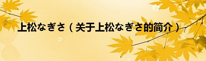 上松なぎさ（關于上松なぎさ的簡介）