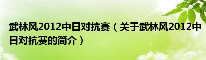 武林風2012中日對抗賽（關于武林風2012中日對抗賽的簡介）