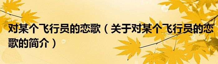 對某個(gè)飛行員的戀歌（關(guān)于對某個(gè)飛行員的戀歌的簡介）