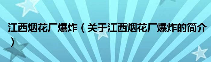 江西煙花廠爆炸（關于江西煙花廠爆炸的簡介）