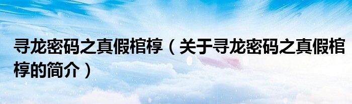 尋龍密碼之真假棺?。P于尋龍密碼之真假棺槨的簡介）