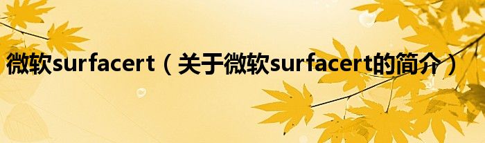 微軟surfacert（關(guān)于微軟surfacert的簡(jiǎn)介）