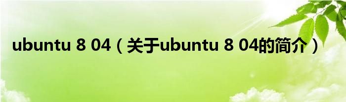 ubuntu 8 04（關(guān)于ubuntu 8 04的簡(jiǎn)介）