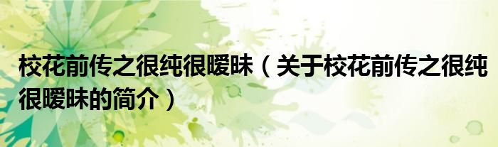校花前傳之很純很曖昧（關(guān)于?；ㄇ皞髦芗兒軙崦恋暮?jiǎn)介）