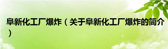 阜新化工廠爆炸（關(guān)于阜新化工廠爆炸的簡(jiǎn)介）