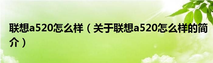 聯(lián)想a520怎么樣（關(guān)于聯(lián)想a520怎么樣的簡介）
