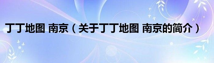 丁丁地圖 南京（關(guān)于丁丁地圖 南京的簡(jiǎn)介）