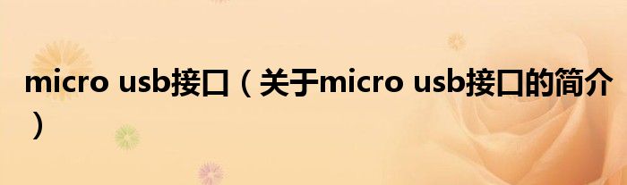 micro usb接口（關(guān)于micro usb接口的簡介）