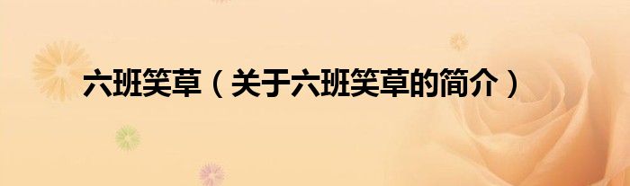 六班笑草（關(guān)于六班笑草的簡(jiǎn)介）