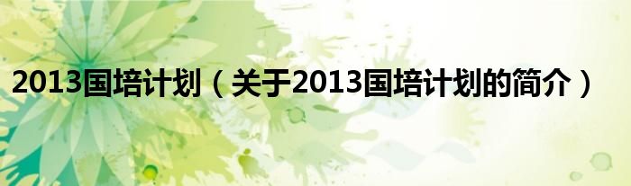 2013國(guó)培計(jì)劃（關(guān)于2013國(guó)培計(jì)劃的簡(jiǎn)介）