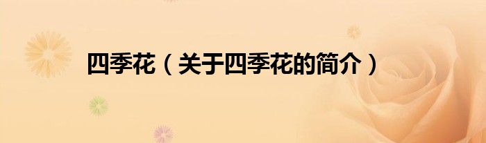 四季花（關(guān)于四季花的簡介）