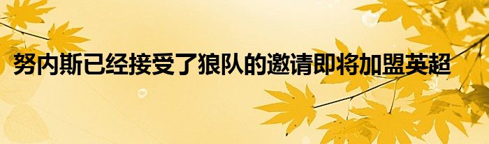 努內斯已經(jīng)接受了狼隊的邀請即將加盟英超