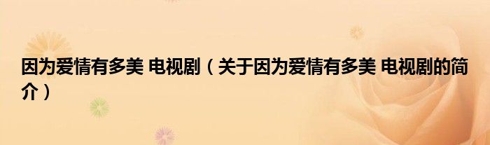 因?yàn)閻矍橛卸嗝?電視?。P(guān)于因?yàn)閻矍橛卸嗝?電視劇的簡介）