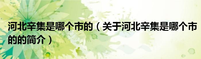 河北辛集是哪個(gè)市的（關(guān)于河北辛集是哪個(gè)市的的簡介）