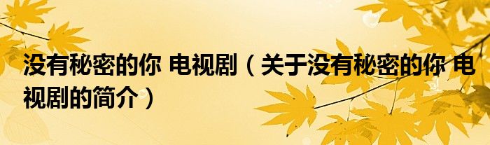 沒有秘密的你 電視?。P(guān)于沒有秘密的你 電視劇的簡介）