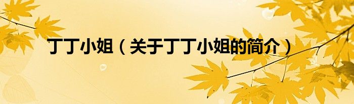 丁丁小姐（關于丁丁小姐的簡介）