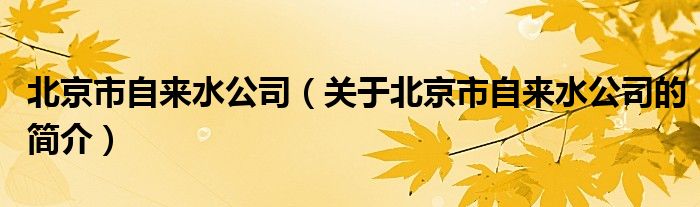 北京市自來水公司（關于北京市自來水公司的簡介）