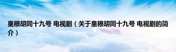 皇糧胡同十九號 電視?。P(guān)于皇糧胡同十九號 電視劇的簡介）