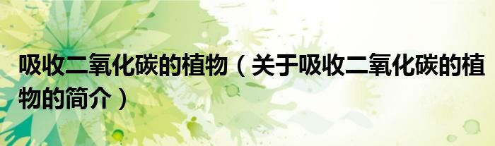 吸收二氧化碳的植物（關于吸收二氧化碳的植物的簡介）