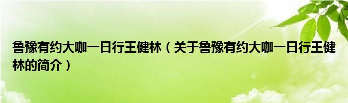 魯豫有約大咖一日行王健林（關(guān)于魯豫有約大咖一日行王健林的簡介）