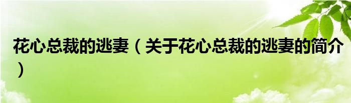 花心總裁的逃妻（關(guān)于花心總裁的逃妻的簡(jiǎn)介）