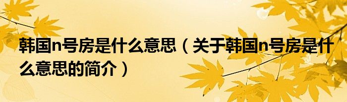 韓國n號(hào)房是什么意思（關(guān)于韓國n號(hào)房是什么意思的簡介）