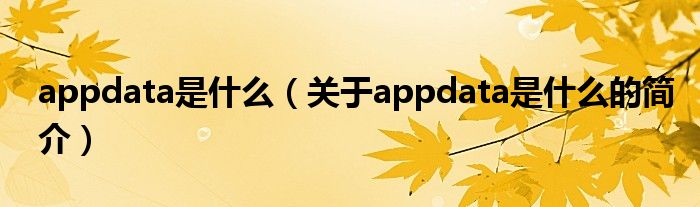appdata是什么（關于appdata是什么的簡介）