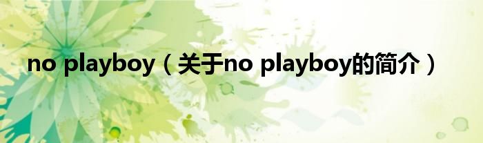 no playboy（關于no playboy的簡介）