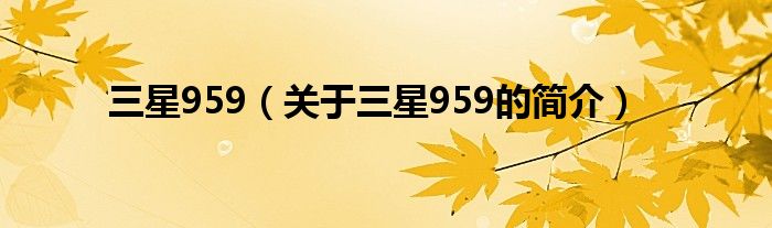 三星959（關于三星959的簡介）