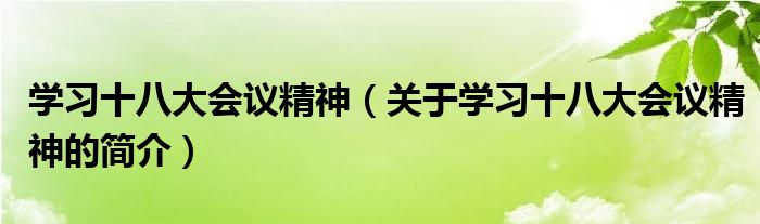 學習十八大會議精神（關(guān)于學習十八大會議精神的簡介）