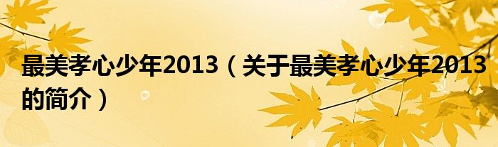 最美孝心少年2013（關于最美孝心少年2013的簡介）