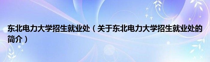 東北電力大學(xué)招生就業(yè)處（關(guān)于東北電力大學(xué)招生就業(yè)處的簡(jiǎn)介）
