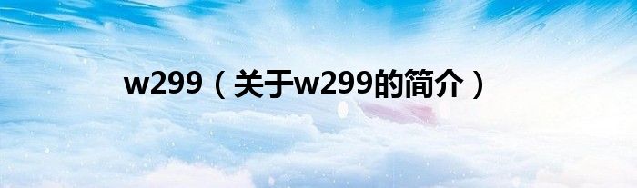 w299（關(guān)于w299的簡介）