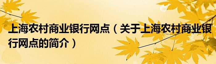 上海農(nóng)村商業(yè)銀行網(wǎng)點(diǎn)（關(guān)于上海農(nóng)村商業(yè)銀行網(wǎng)點(diǎn)的簡介）