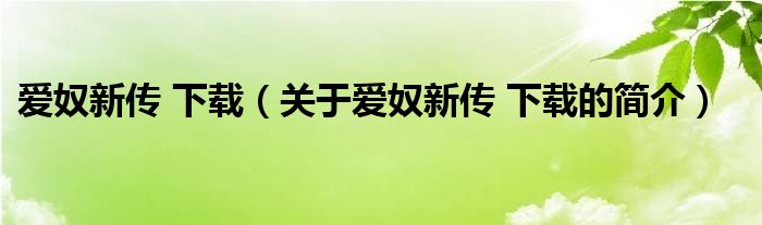 愛奴新傳 下載（關于愛奴新傳 下載的簡介）