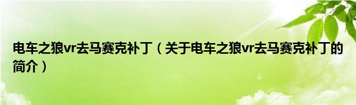 電車(chē)之狼vr去馬賽克補(bǔ)?。P(guān)于電車(chē)之狼vr去馬賽克補(bǔ)丁的簡(jiǎn)介）