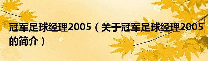 冠軍足球經理2005（關于冠軍足球經理2005的簡介）