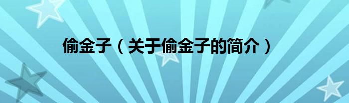 偷金子（關(guān)于偷金子的簡介）